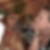 Profilbild von Sandra Goethe-Rapp