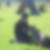 Profilbild von Wenke Schernikau