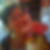 Profilbild von Luzia Conrad