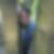Profilbild von Birgit Liesche