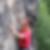 Profilbild von Frank Donath