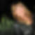 Profilbild von Simone Schlott