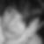 Profilbild von Cindy Klook