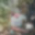 Profilbild von Verena Theml