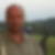 Profilbild von Thomas Fink