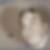 Profilbild von Dominique Lars Wentzeck