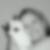 Profilbild von Sandra Kring