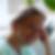 Profilbild von Kerstin Johne