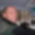 Profilbild von Manfred Fröhlich