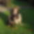 Profilbild von Sonja Huhn
