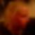 Profilbild von Cindy Januszewski