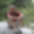 Profilbild von Kai Adam