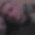 Profilbild von Maik Rose
