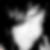 Profilbild von Evelyn Schindler