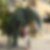 Profilbild von Diddy Crößmann