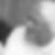 Profilbild von Wolfgang Reifegerste