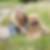 Profilbild von Beate Leon
