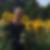 Profilbild von Rainer Masslof