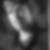Profilbild von Benjamin Grüneisen