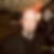 Profilbild von Oliver Schuralow