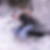 Profilbild von Ronald Eckart