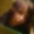 Profilbild von Michelle Tippach