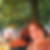 Profilbild von Marie Dussmann