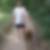 Profilbild von Albert Toben