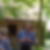Profilbild von Rolf Woldmer
