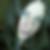 Profilbild von Britta Fenner
