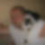 Profilbild von Sven Kämmer