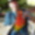 Profilbild von Thomas Steeb