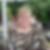 Profilbild von Roswitha Martin