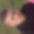 Profilbild von Patrick March