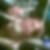 Profilbild von Jennifer Meyer
