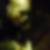 Profilbild von Rainer Adam