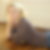Profilbild von Janet Hedderich