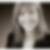 Profilfoto von Maria Frick