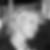 Profilbild von Swantje Janssen