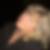 Profilbild von Roswitha Carlson