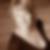 Profilbild von Jennifer Press