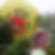 Profilbild von Birgitt Gottwald