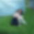 Profilbild von Stefanie Reeger