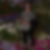 Profilbild von Bettina Scholl