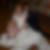 Profilbild von Diana Fritze