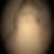 Profilbild von Fritz Flink