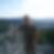 Profilbild von Bernd Seeger