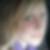 Profilbild von Elisa Lohse