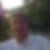 Profilbild von Ulrich van Laack