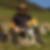 Profilbild von Holger Zausch